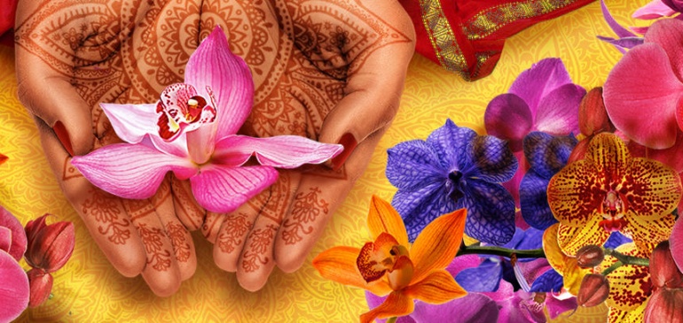 ‘Sounds of Kolkata’ – Orchid Festival at Kew Gardens